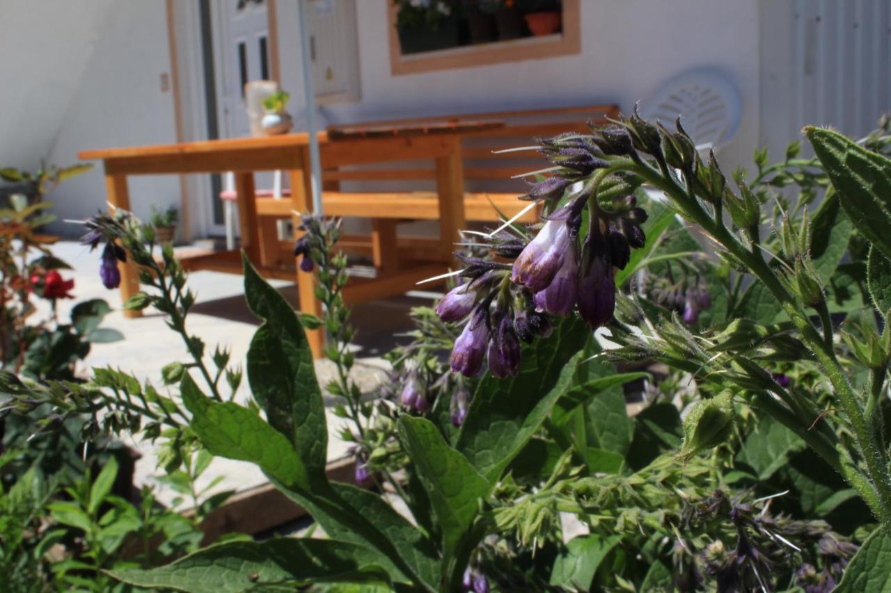 Apartment Mountain Dream Žabljak Kültér fotó