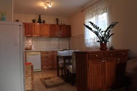 Apartment Mountain Dream Žabljak Kültér fotó