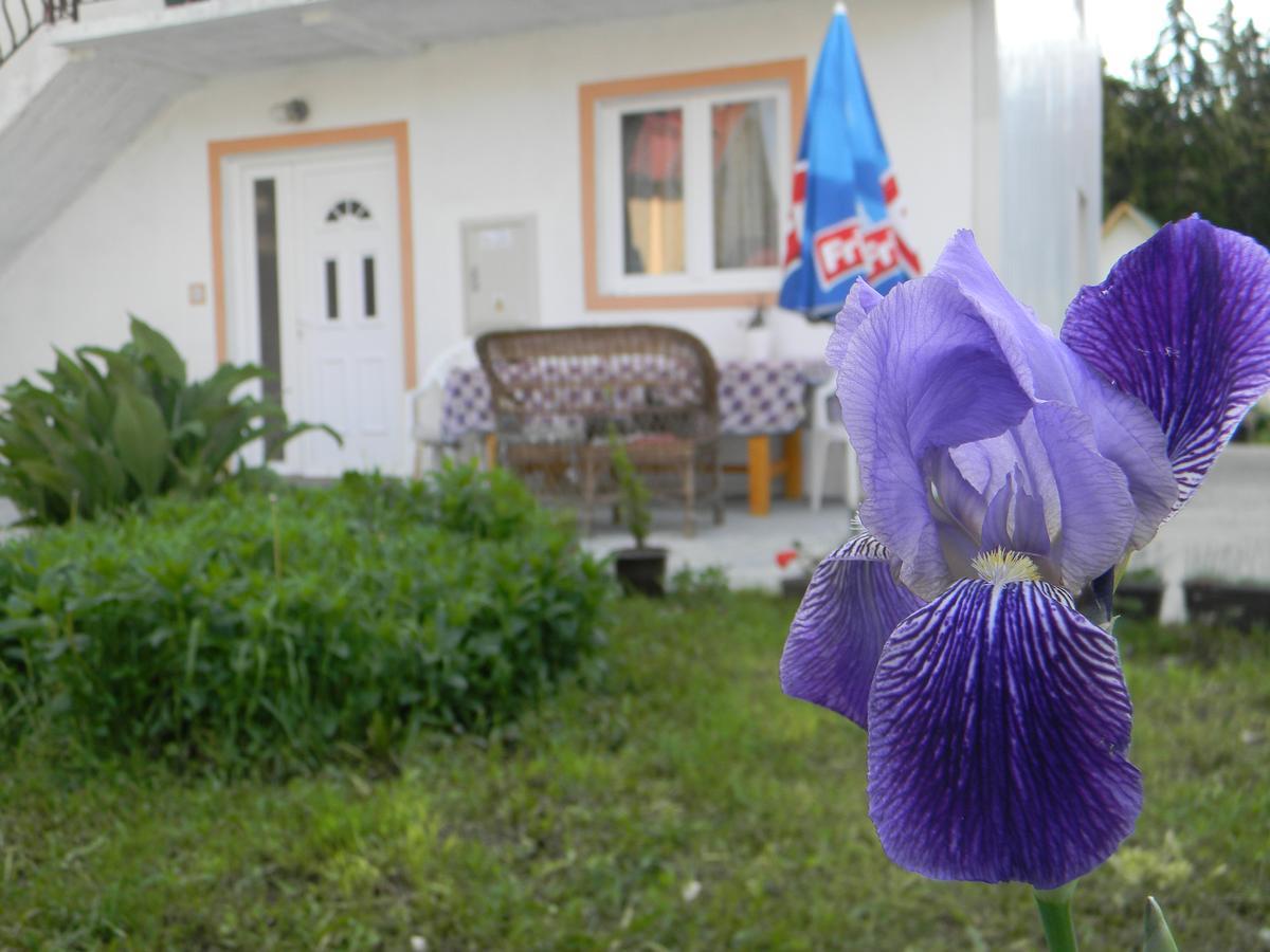 Apartment Mountain Dream Žabljak Kültér fotó