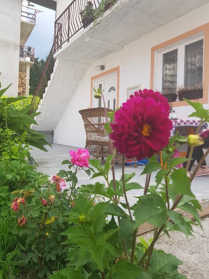 Apartment Mountain Dream Žabljak Kültér fotó